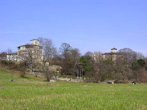 Elbufer Foto 