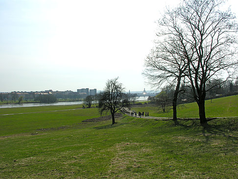 Elbufer Foto 