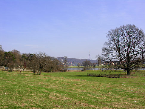 Fotos Elbufer