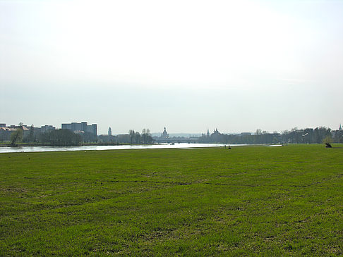 Foto Elbufer - Dresden