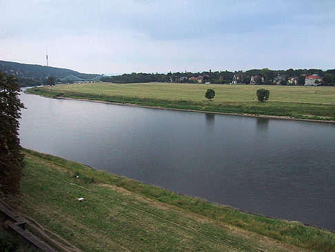 Elbe