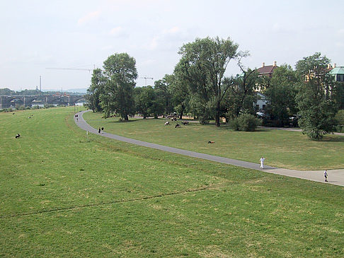 Foto Elbufer - Dresden