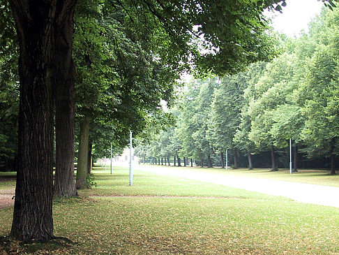 Großer Garten Fotos
