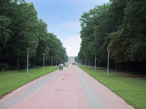 Foto Großer Garten
