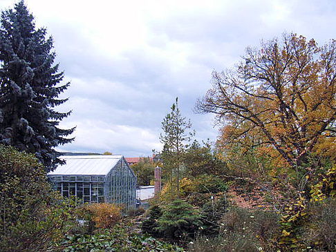 Botanischer Garten