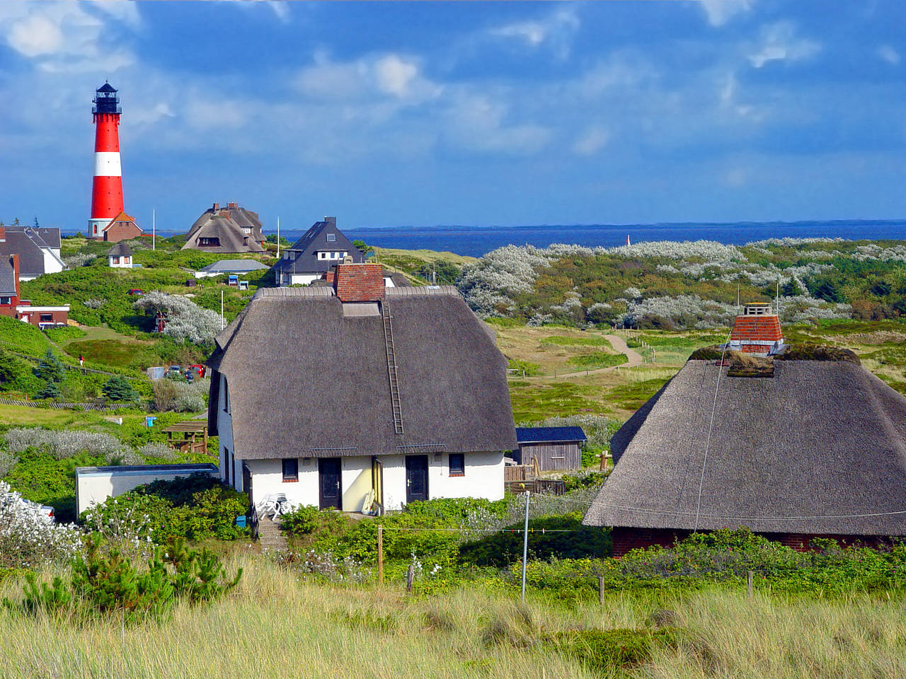 Kurzinfo zu Sylt Foto 